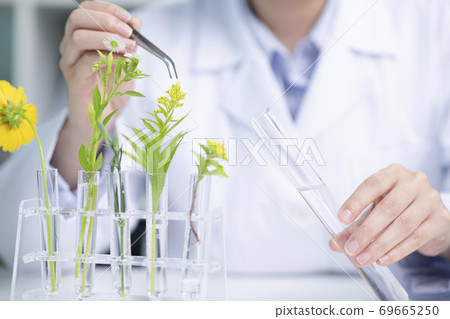 Science, chemistry, biology, and medicine concept, scientist with equipment and science experiments 204 Science, chemistry, biology, and medicine concept, scientist with equipment and science experiments 204 69665250
