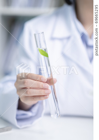 Science, chemistry, biology, and medicine concept, scientist with equipment and science experiments 205 Science, chemistry, biology, and medicine concept, scientist with equipment and science experiments 205 69665295