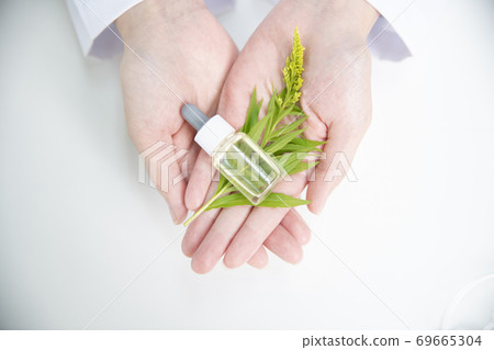 Science, chemistry, biology, and medicine concept, scientist with equipment and science experiments 243 Science, chemistry, biology, and medicine concept, scientist with equipment and science experiments 243 69665304