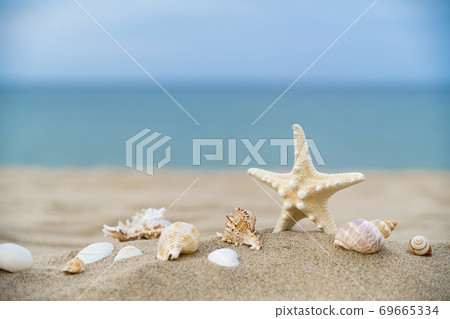 Summer holiday concept, Summer beach accessories 005 Summer holiday concept, Summer beach accessories 005 69665334