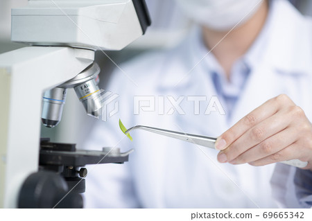Science, chemistry, biology, and medicine concept, scientist with equipment and science experiments 208 Science, chemistry, biology, and medicine concept, scientist with equipment and science experiments 208 69665342