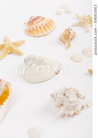 Summer holiday concept, Summer beach accessories 109 69665663