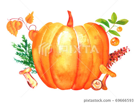 Autumn composition, watercolor fall arrangement for greeting cards, posters, or menus, isolated on a white background 69666593