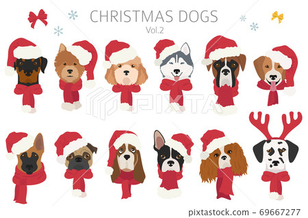Dog portraits in Santa hats and scarves. Christmas holiday design Dog portraits in Santa hats and scarves. Christmas holiday design 69667277