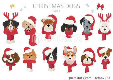 Dog portraits in Santa hats and scarves. Christmas holiday design 69667283