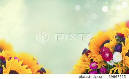 Sunflowers on white Sunflowers on white 69667535