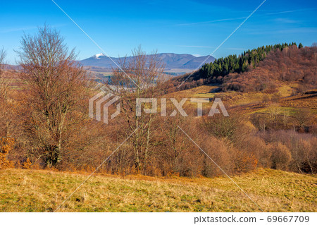 mountainous countryside in november. leafless trees on hills rolling in to the rural valley. snow capped ridge in the distance. sunny morning scenery mountainous countryside in november. leafless trees on hills rolling in to the rural valley. snow capped ridge in the distance. sunny morning scenery 69667709