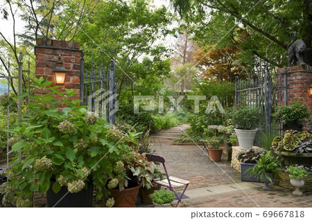 Lausan Berry Tawada 69667818