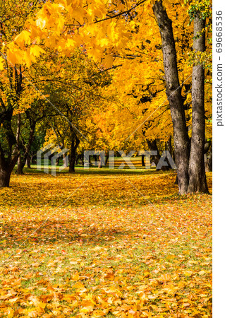 Autumn city park 69668536