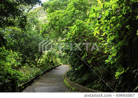 觀音崎燈塔，據說是日本東京灣最古老的燈 69668867