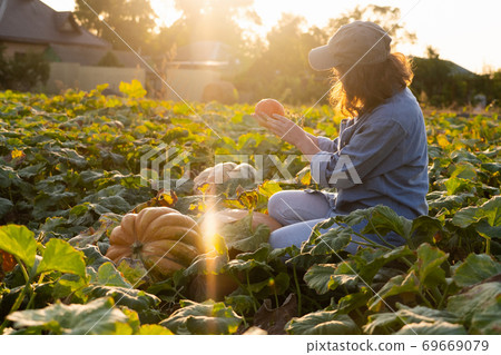 Farmer with pumpkin  69669079