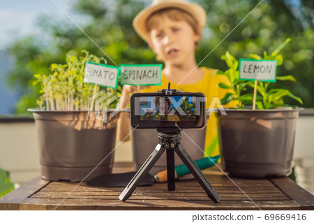 The boy records a video blog about gardening on his balcony. Natural development for children The boy records a video blog about gardening on his balcony. Natural development for children 69669416