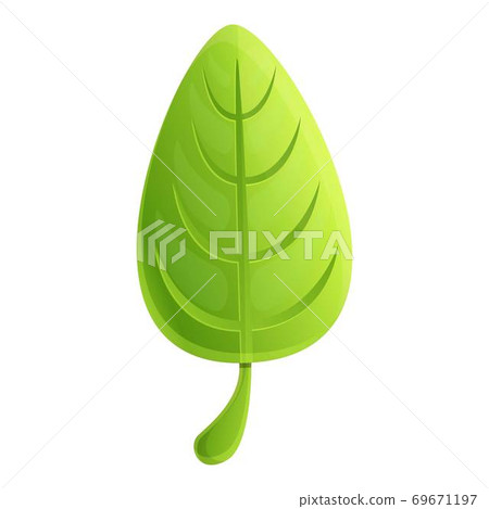 Basil healthcare icon, cartoon style Basil healthcare icon, cartoon style 69671197