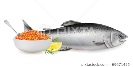 Red salmon fish caviar, vector realistic isolated illustration 69671435