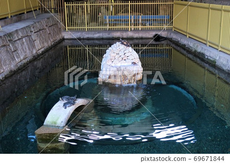 佐久乃美佳子（Mikage Sawanoi） 69671844