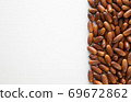 Acorn 69672862