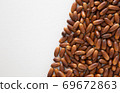 Acorn 69672863