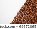 Acorn 69672865