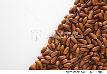 Acorn Acorn 69672865