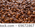 Acorn 69672867
