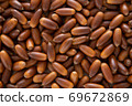 Acorn 69672869