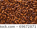 Acorn 69672871