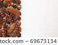  Tree nuts 69673134