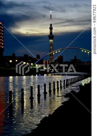 Night sky tree seen from the river and illuminated bridge 69677925