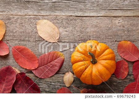 Beautiful mini pumpkin and autumn leaves Beautiful mini pumpkin and autumn leaves 69679243