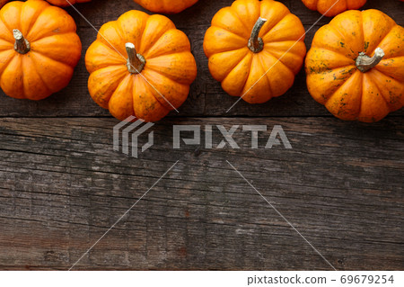Beautiful mini pumpkins on wooden planks Beautiful mini pumpkins on wooden planks 69679254