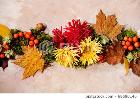 Autumn botanical composition Autumn botanical composition 69680146