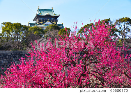 大阪城堡梅花森林 大阪城堡梅花森林 69680570