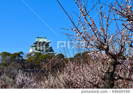 Osaka Castle plum forest Osaka Castle plum forest 69680599
