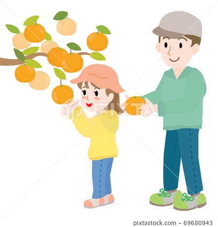 Parents and children hunting oranges, girls and dads 69680943