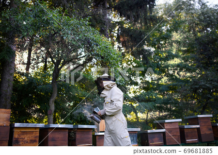 Portrait of man beekeeper working in apiary, using bee smoker. Portrait of man beekeeper working in apiary, using bee smoker. 69681885
