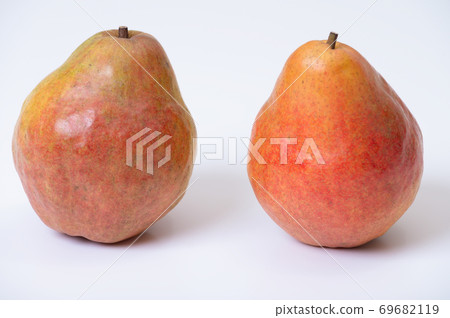 Photo of red pear (domestic) Photo of red pear (domestic) 69682119