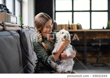 Portrait of young business woman with dog indoors in office. 69682684