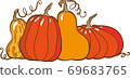 pumpkin orange and yellow set vector insolate 69683765