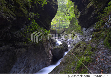 東京自然紀念神戶岩 69685006