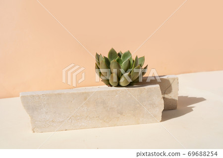 Minimal product display Minimal product display 69688254
