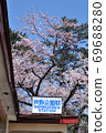 Tsugaru Railway Ashinokoen Station and Yoshino Cherry 69688280