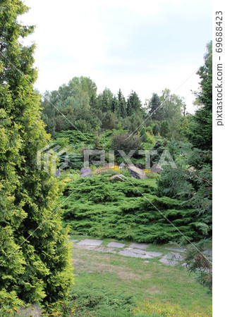 summer landscape with bushes and stones 69688423