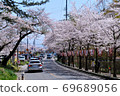 A line of cherry blossom trees in Ashino Park, Aomori Prefecture 69689056