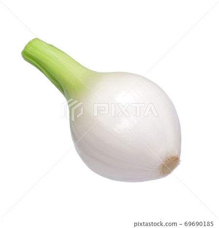 Fresh onion isolated on a white background 69690185