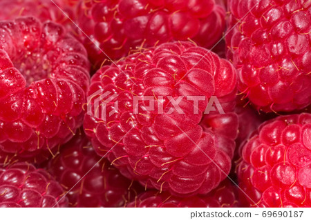Fresh ripe raspberries closeup. Berry background. Fresh ripe raspberries closeup. Berry background. 69690187
