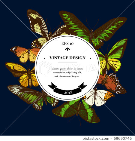 Badge over design with red lacewing, wallace s golden birdwing, great orange-tip, emerald Badge over design with red lacewing, wallace s golden birdwing, great orange-tip, emerald 69690746