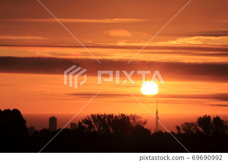 Sunrise sky tree 69690992
