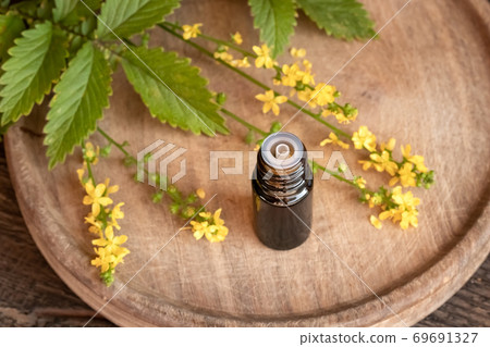 A bottle of herbal tincture with fresh blooming agrimony 69691327