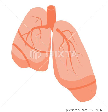 Human lungs icon, isometric style 69691696