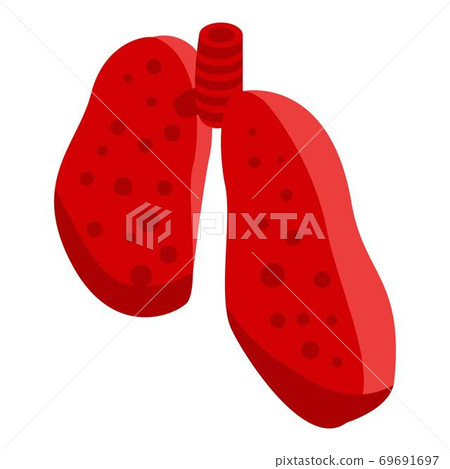 Cutted section lungs icon, isometric style Cutted section lungs icon, isometric style 69691697